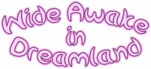 Wide Awake in Dreamland 